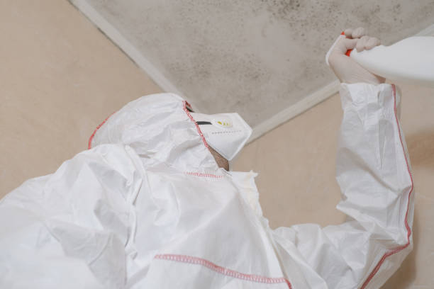 Best Mold Testing and Inspection Services in Carver, MN